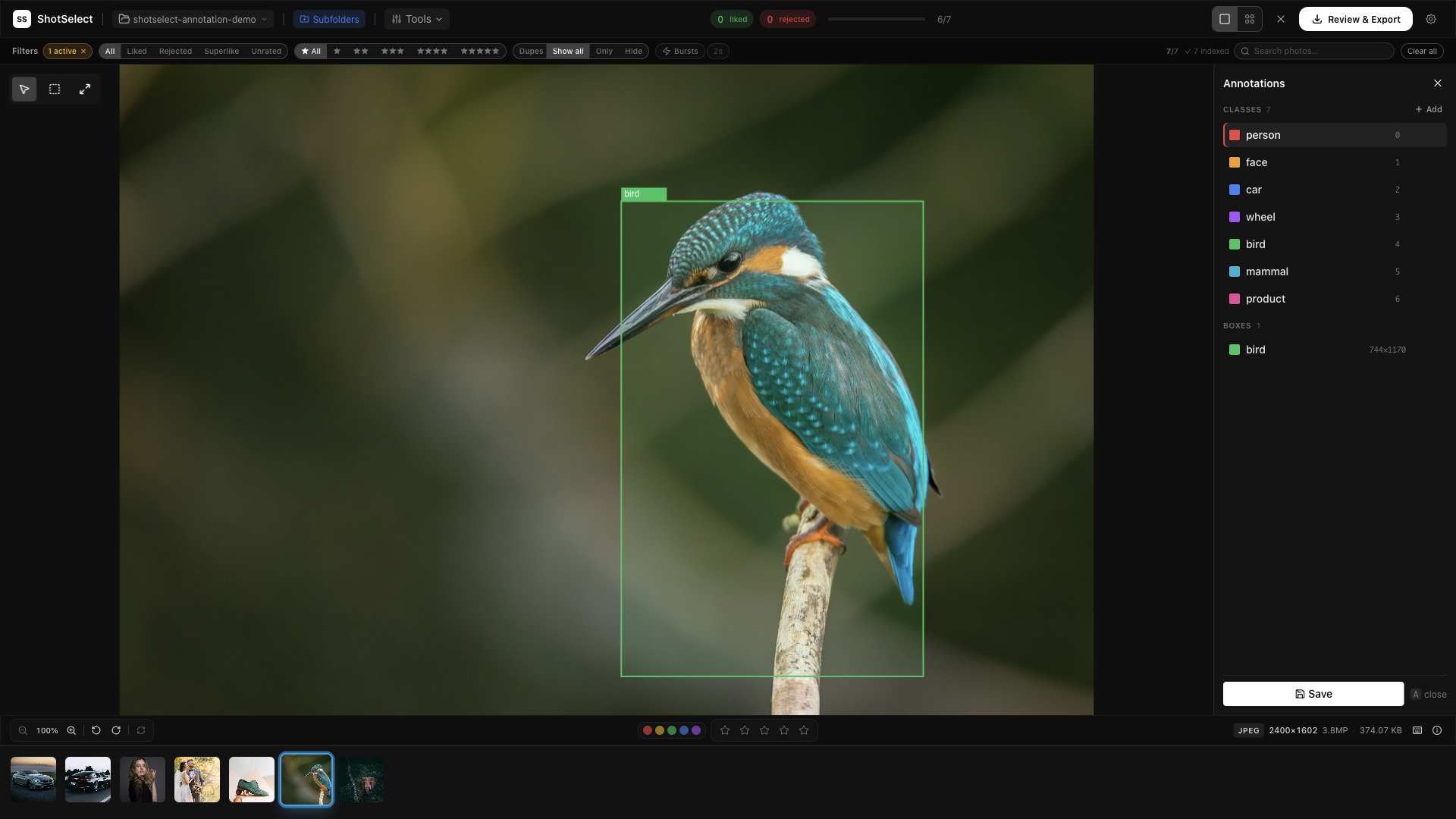 ShotSelect annotating a kingfisher with a bird bounding box