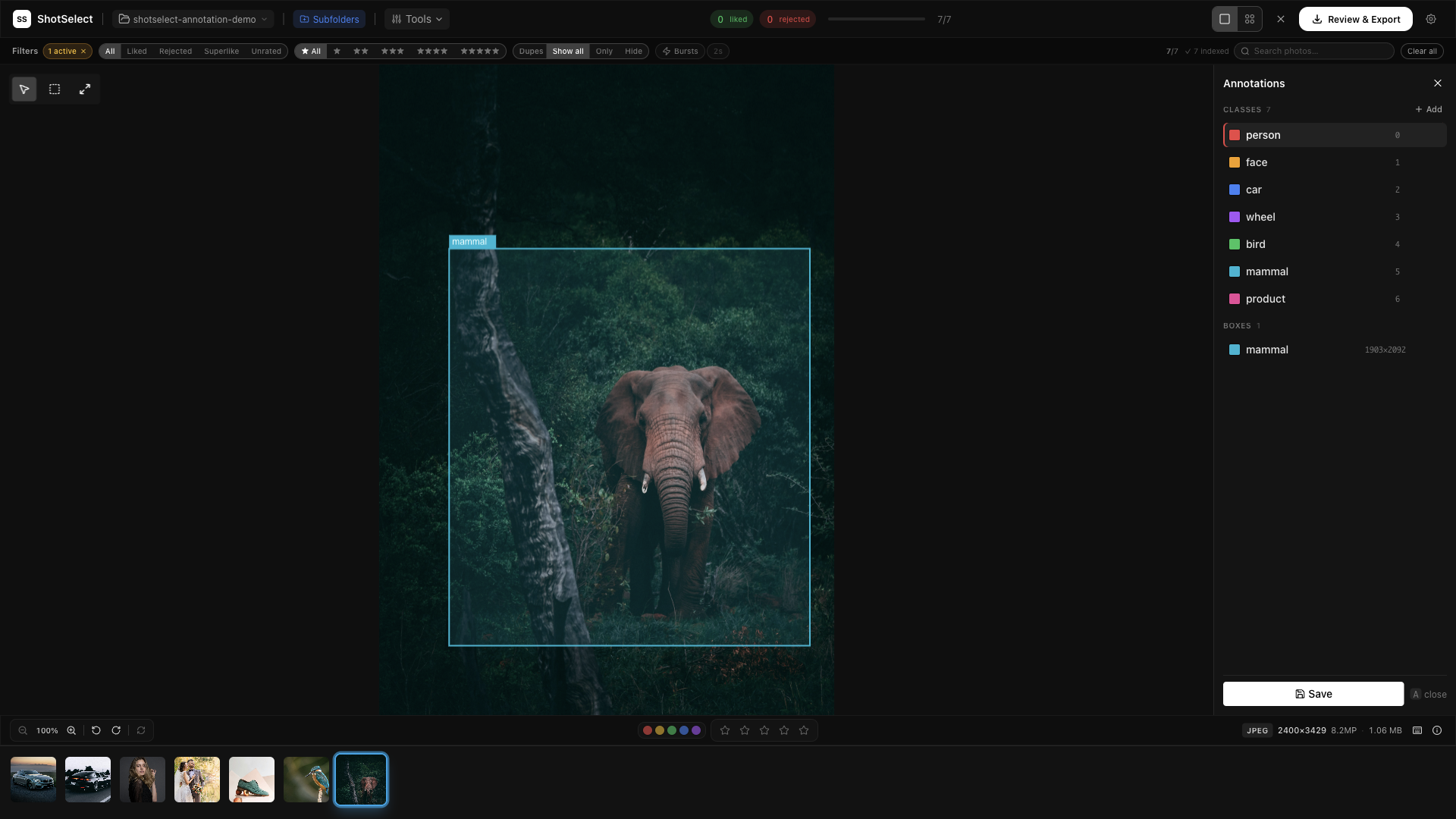 ShotSelect annotating an elephant with a mammal bounding box